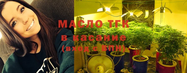 МДПВ Инта