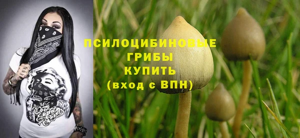 синтетический гашиш Каменск-Шахтинский